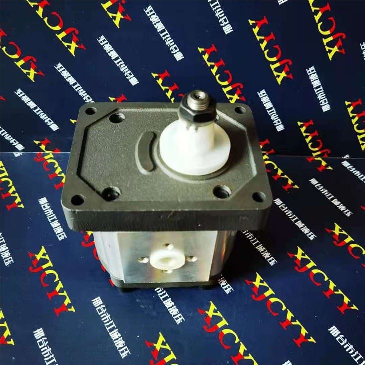 Fiat Tractor Pump 570140