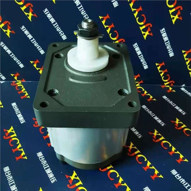 Fiat Tractor Pump 570140