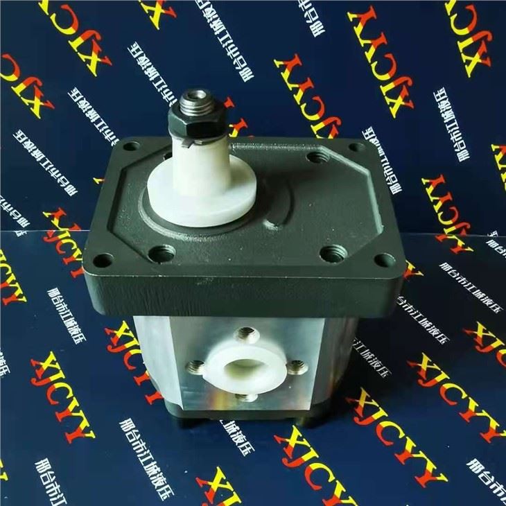 Fiat Tractor Pump 570140