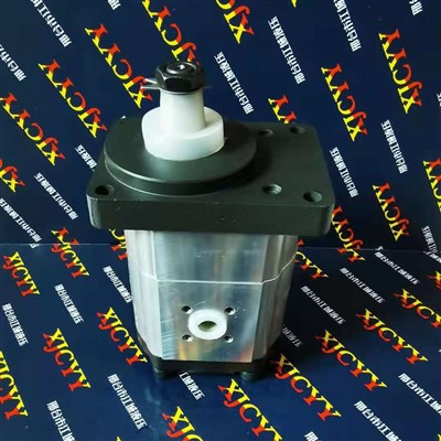 1515702072,1515702075 Deutz용 유압 펌프